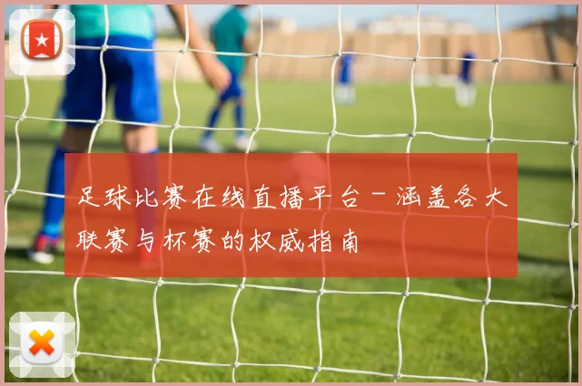 足球比赛在线直播平台 - 涵盖各大联赛与杯赛的权威指南