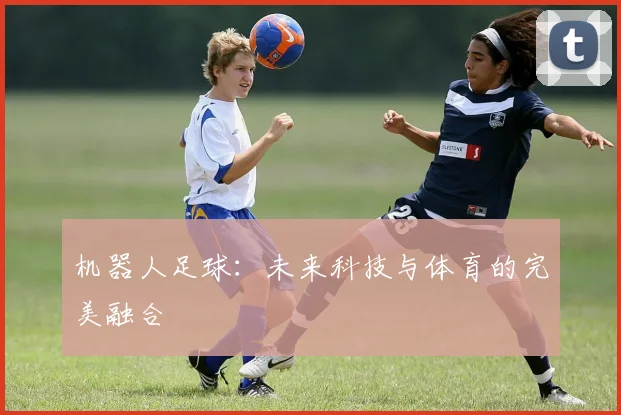 机器人足球：未来科技与体育的完美融合